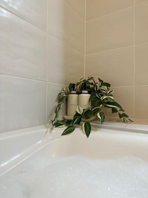 Jungle Suite - Moderne & Spacieux Annecy Esterno foto